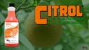 NCL CITROL - 100 % Active All Natural Citrus Degreaser/Cleaner/Deodorizer gl (Cs=4Gl)