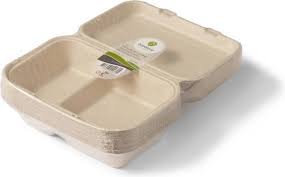 BIODORE Menu Box 2-Compartment BAGASSE 250x165x60mm