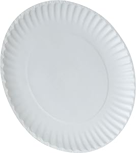 9" White Paper Plate - 100each