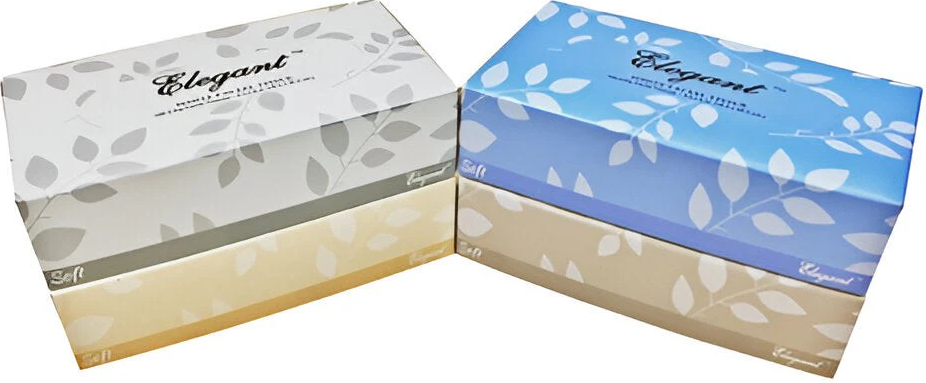 2 Ply Facial Tissue 6.5"x8" pak van 100 sheets (Bx=30x100  sheets)