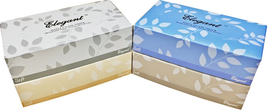 2 Ply Facial Tissue 6.5"x8" pak van 100 sheets (cs=30 pak van 100sheets)