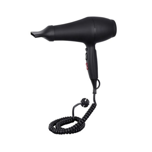 [ES5503 easton] Hair dryer - ES5503