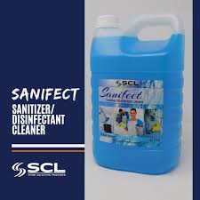 [JAN-179-1L] Sanifect Ocean Breeze 1L (IBG-Tote)