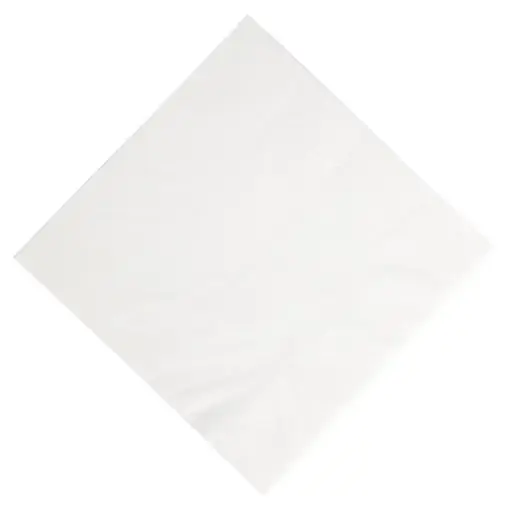 [DinnapWhite] Duni Dinner Napkin White 40x40 125 st..29-010-020